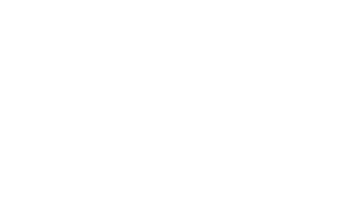 logo blanco